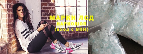 spice Алзамай